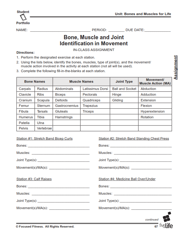 Physical Education | Middle & High School | Portfolio | Fitness Plan